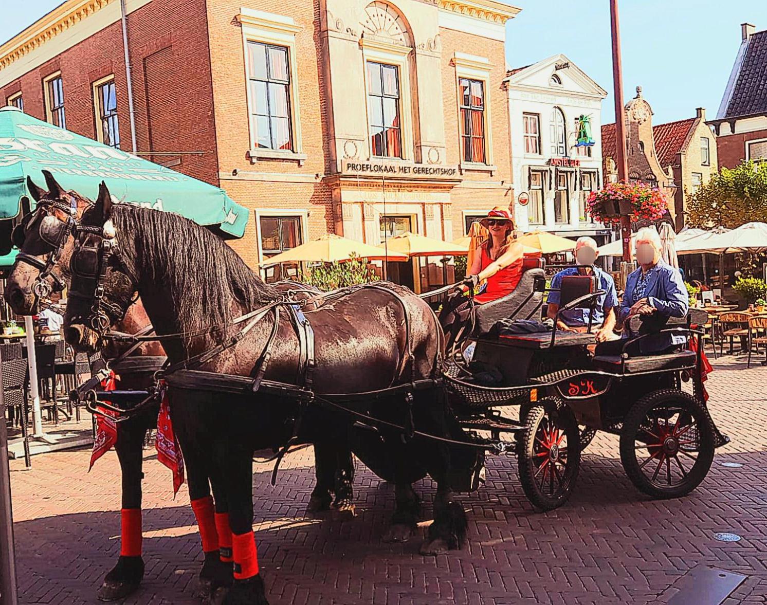 Stacaravan Op De Paardenboerderij สเนก ภายนอก รูปภาพ